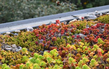 the cost of Stoke Newington green roof installation
