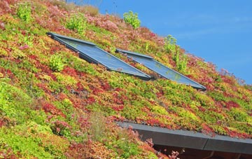Stoke Newington living roof systems
